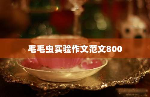 毛毛虫实验作文范文800