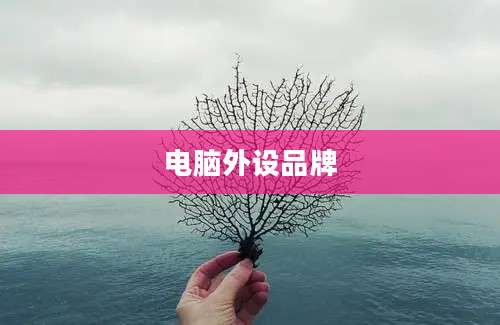电脑外设品牌