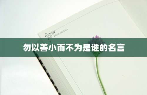 勿以善小而不为是谁的名言