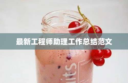 最新工程师助理工作总结范文