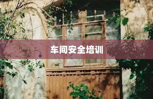 车间安全培训