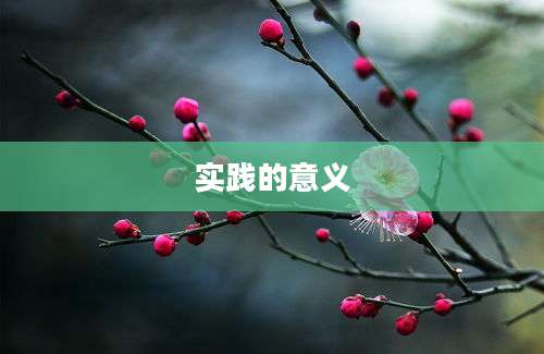 实践的意义