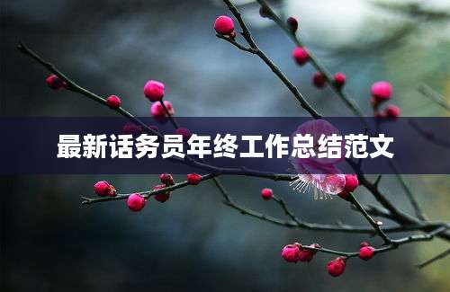 最新话务员年终工作总结范文
