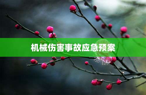 机械伤害事故应急预案