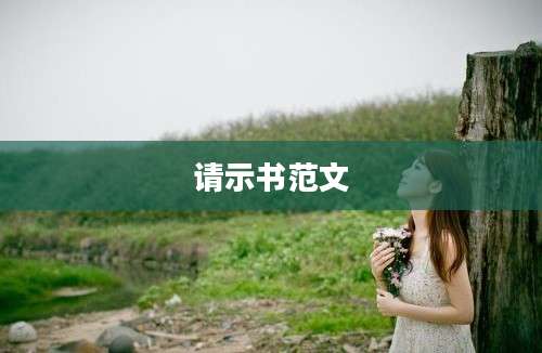 请示书范文