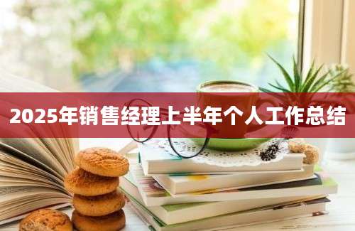2025年销售经理上半年个人工作总结