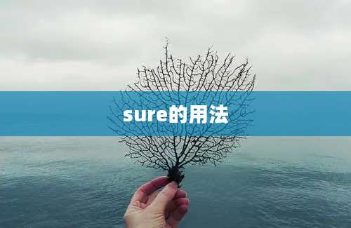 sure的用法