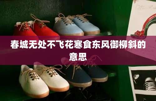 春城无处不飞花寒食东风御柳斜的意思