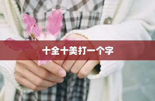 十全十美打一个字