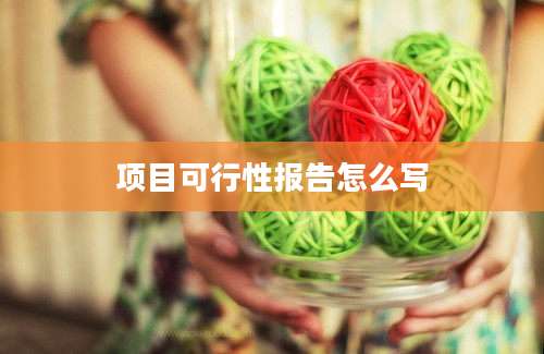 项目可行性报告怎么写