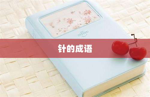 针的成语