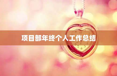 项目部年终个人工作总结