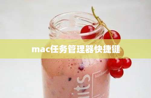 mac任务管理器快捷键