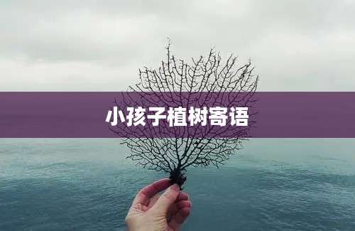 小孩子植树寄语