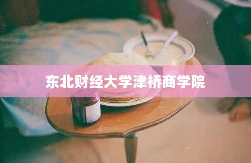 东北财经大学津桥商学院