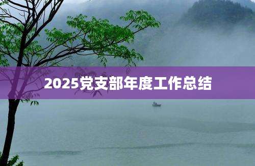 2025党支部年度工作总结