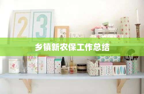 乡镇新农保工作总结