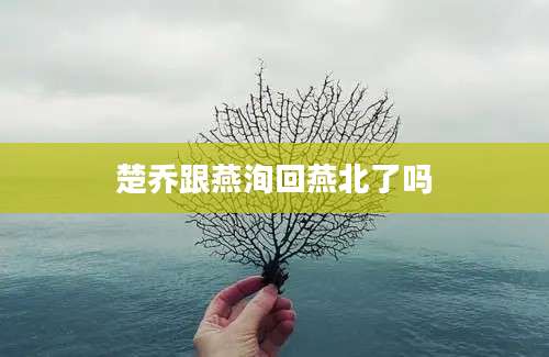 楚乔跟燕洵回燕北了吗