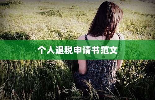 个人退税申请书范文
