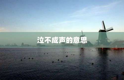 泣不成声的意思