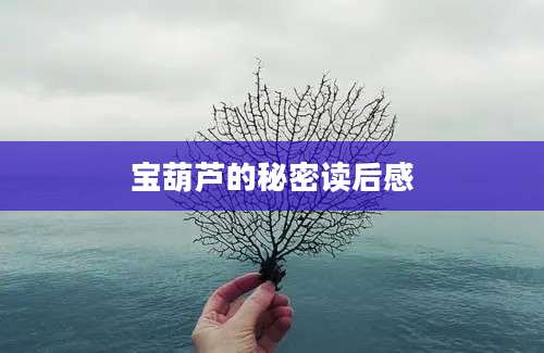 宝葫芦的秘密读后感
