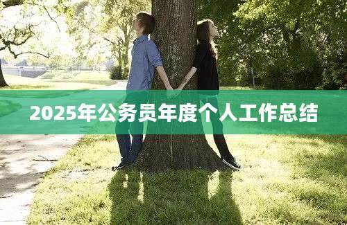 2025年公务员年度个人工作总结