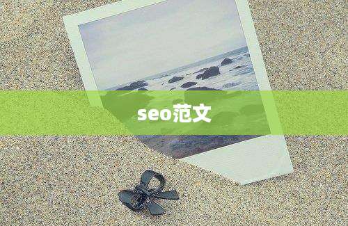 seo范文