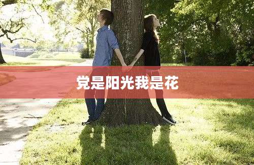 党是阳光我是花