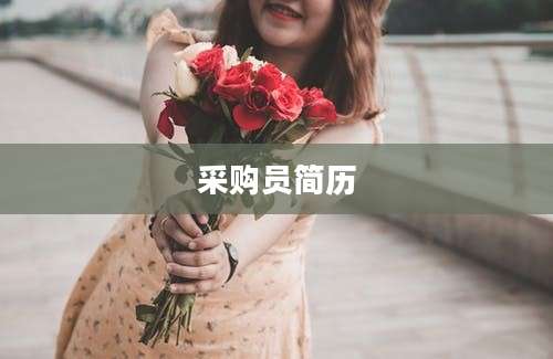 采购员简历