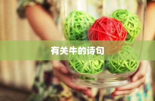 有关牛的诗句