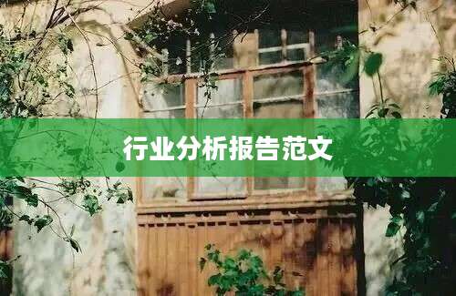行业分析报告范文