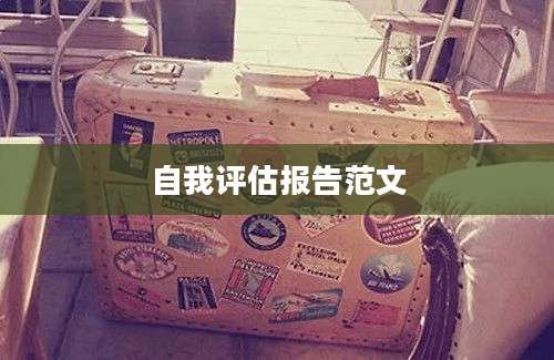 自我评估报告范文