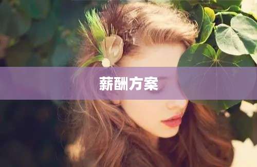 薪酬方案