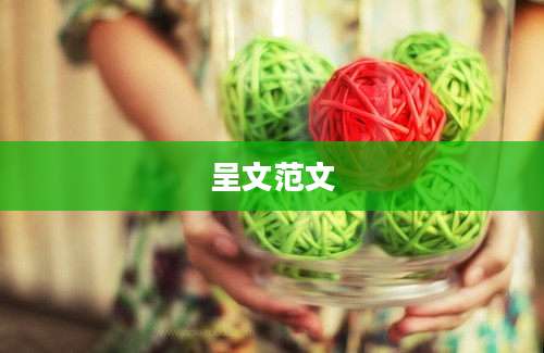 呈文范文