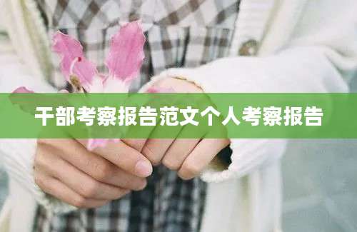 干部考察报告范文个人考察报告