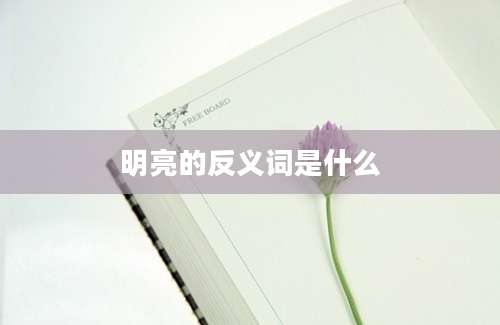 明亮的反义词是什么