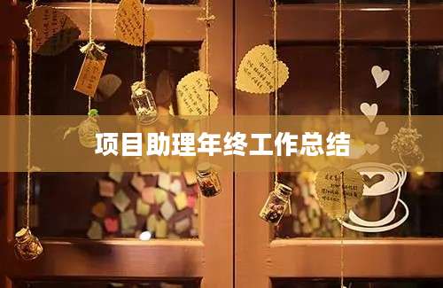 项目助理年终工作总结