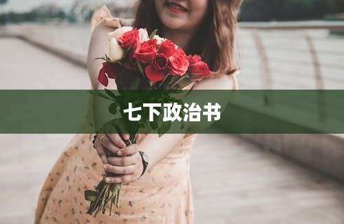 七下政治书