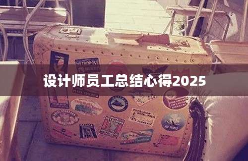 设计师员工总结心得2025