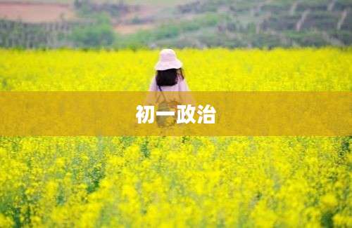 初一政治