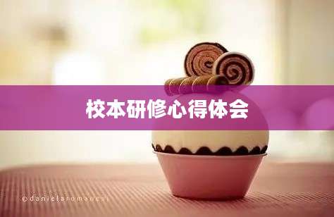 校本研修心得体会