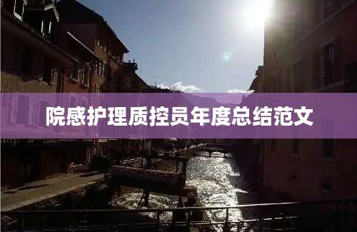 院感护理质控员年度总结范文