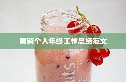 营销个人年终工作总结范文