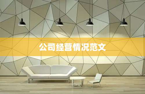公司经营情况范文