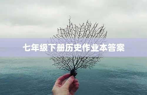 七年级下册历史作业本答案