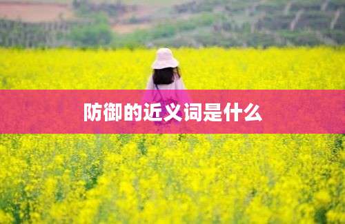 防御的近义词是什么