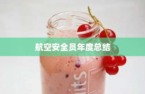 航空安全员年度总结