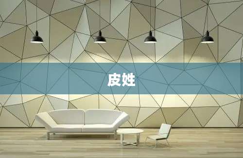 皮姓