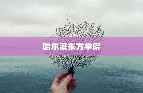 哈尔滨东方学院