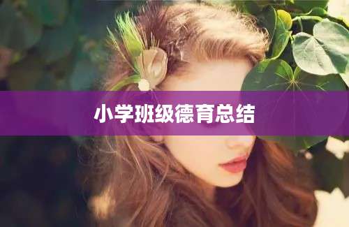 小学班级德育总结